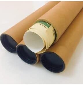 Genel Mantar Çeşitleri Sanatsal Duvar Dekorasyon Poster 40x50cm