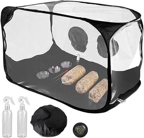 B0GGBD3G5K-019bb497-cef8-489a-b284-4f3327e80a9e