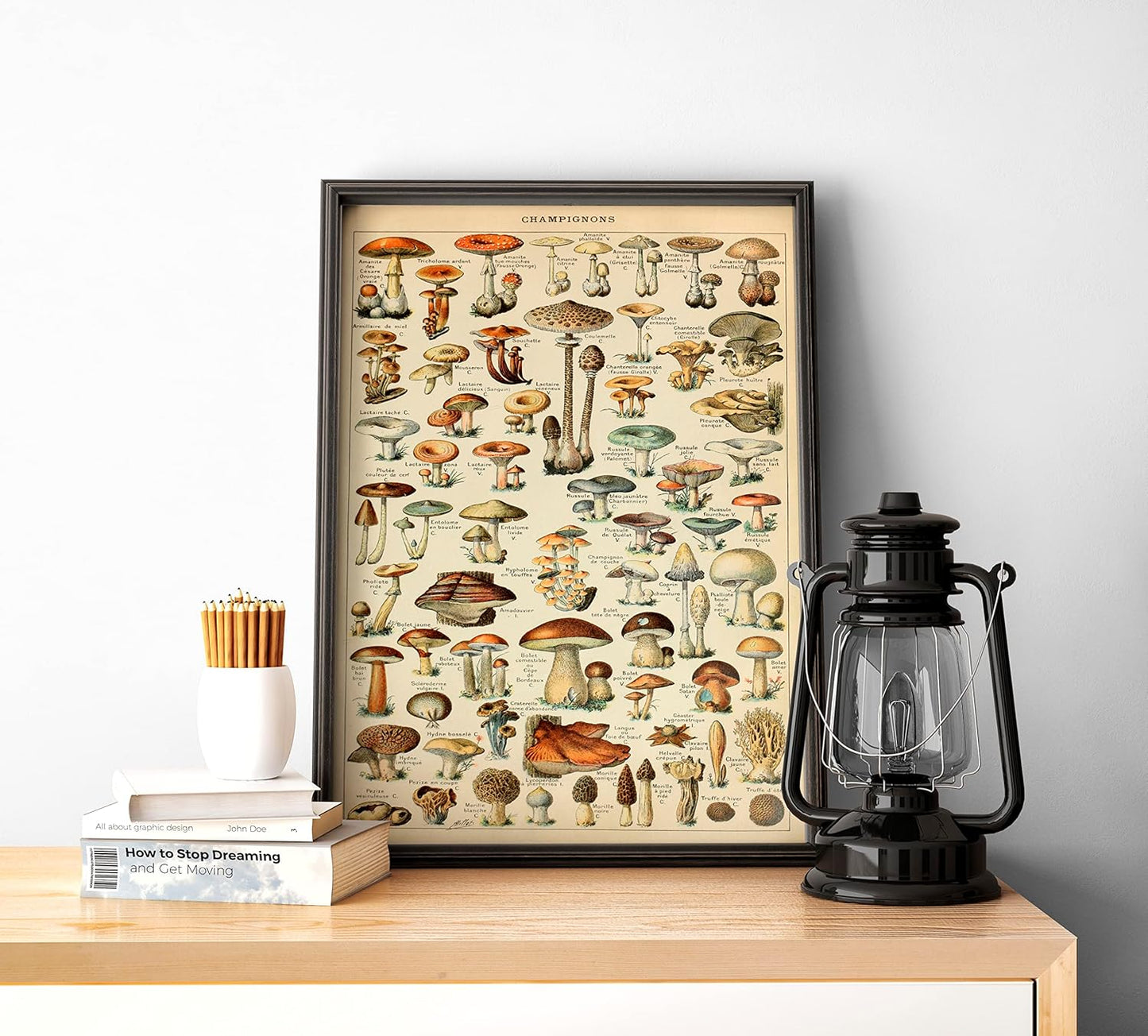 Genel Mantar Çeşitleri Sanatsal Duvar Dekorasyon Poster 40x50cm